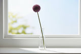 Shades 4 Seasons Allium Stem for Stylish Home Decor PURPLE PLASTIC Shades 4 Seasons