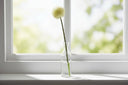 Shades 4 Seasons Allium Stem for Elegant Home Decor CREAM PLASTIC Shades 4 Seasons