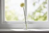 Shades 4 Seasons Allium Stem for Elegant Home Decor CREAM PLASTIC Shades 4 Seasons