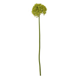 Shades 4 Seasons Allium Stem - Stylish Greenery Decor GREEN PLASTIC Shades 4 Seasons