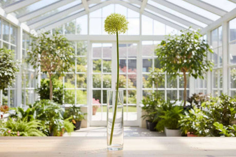 Shades 4 Seasons Allium Stem - Elegant Home Decor GREEN PLASTIC Shades 4 Seasons