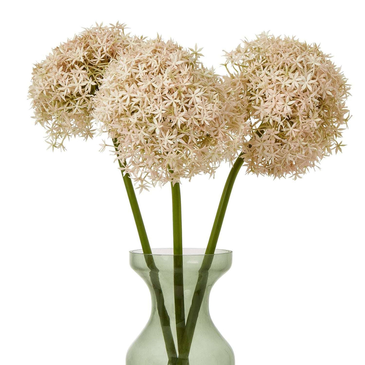 Shades 4 Seasons Allium Stem for Stylish Decor Shades 4 Seasons