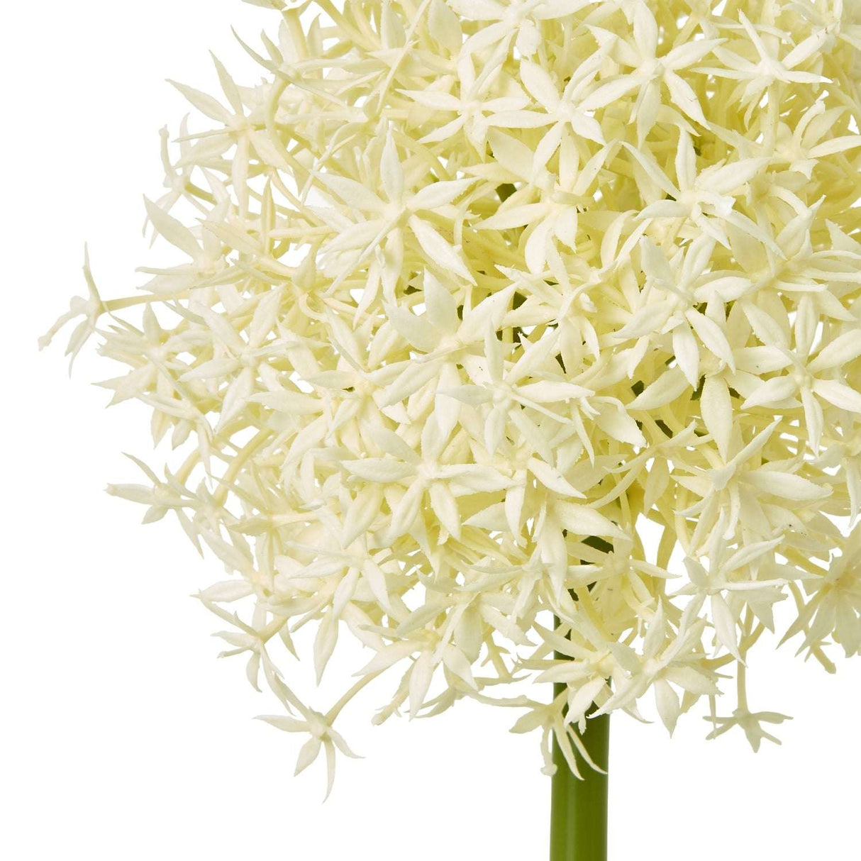 Shades 4 Seasons Allium Stem - Elegant Home Decor Shades 4 Seasons