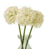Shades 4 Seasons Allium Stem - Elegant Home Decor Shades 4 Seasons