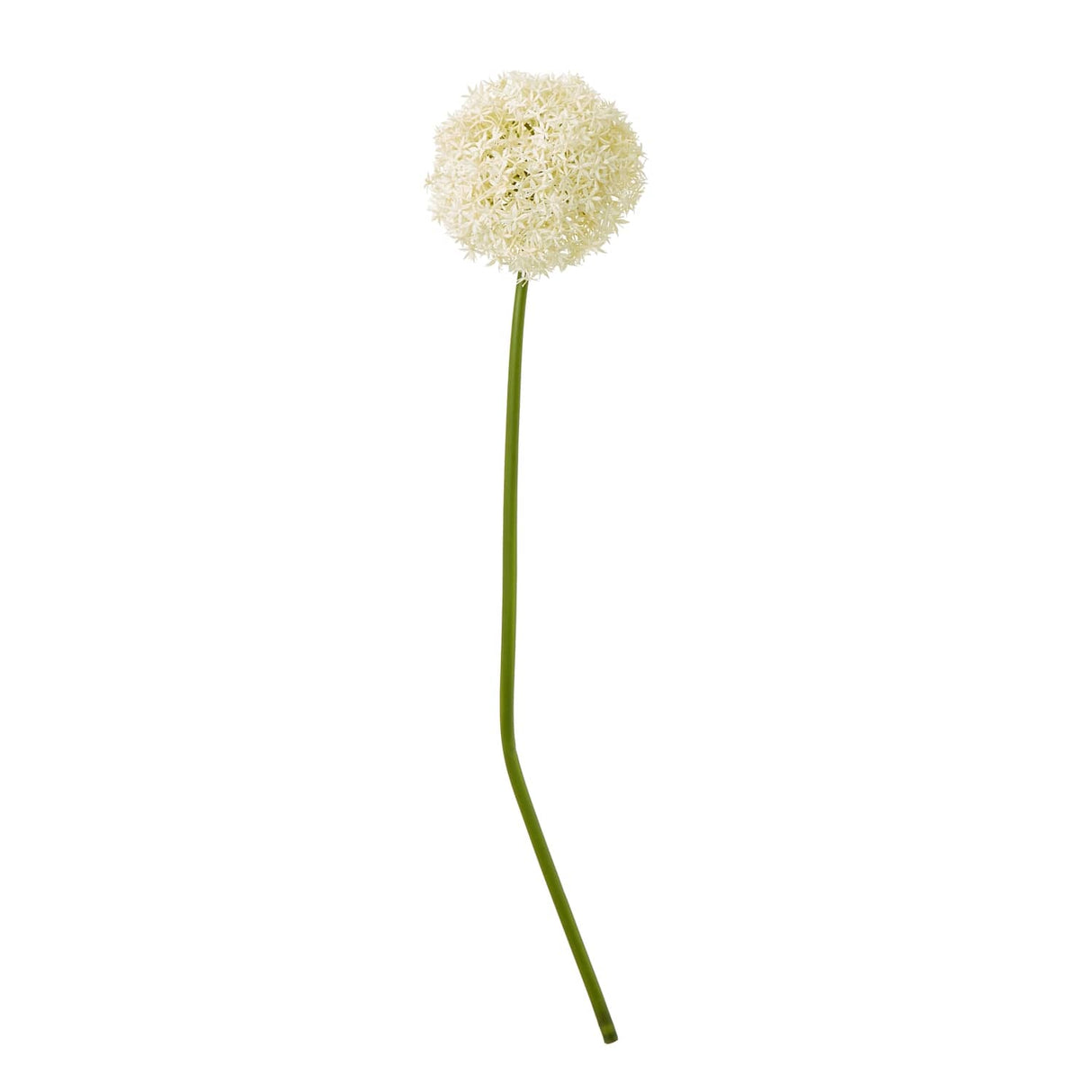 Shades 4 Seasons Allium Stem - Elegant Home Decor CREAM PLASTIC Shades 4 Seasons