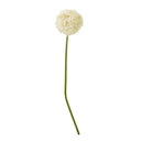 Shades 4 Seasons Allium Stem - Elegant Home Decor CREAM PLASTIC Shades 4 Seasons