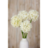 Shades 4 Seasons Allium Stem - Elegant Home Decor Shades 4 Seasons