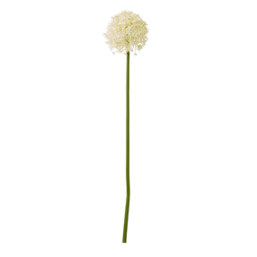 Shades 4 Seasons Allium Stem - Elegant Home Decor CREAM PLASTIC Shades 4 Seasons