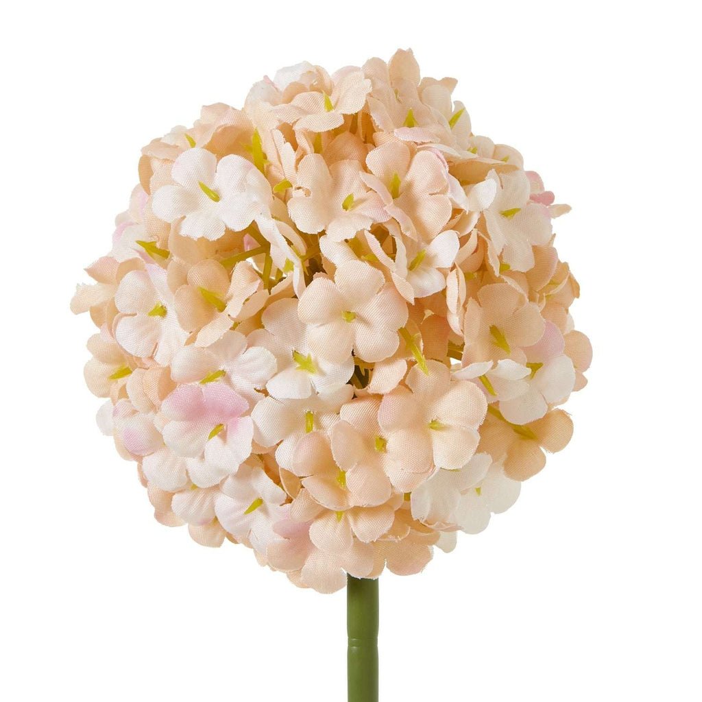 The Natural Garden Collection White & Apricot Allium Shades 4 Seasons