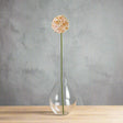 The Natural Garden Collection White & Apricot Allium WHITE PLASTIC Shades 4 Seasons