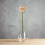The Natural Garden Collection White & Apricot Allium WHITE PLASTIC Shades 4 Seasons