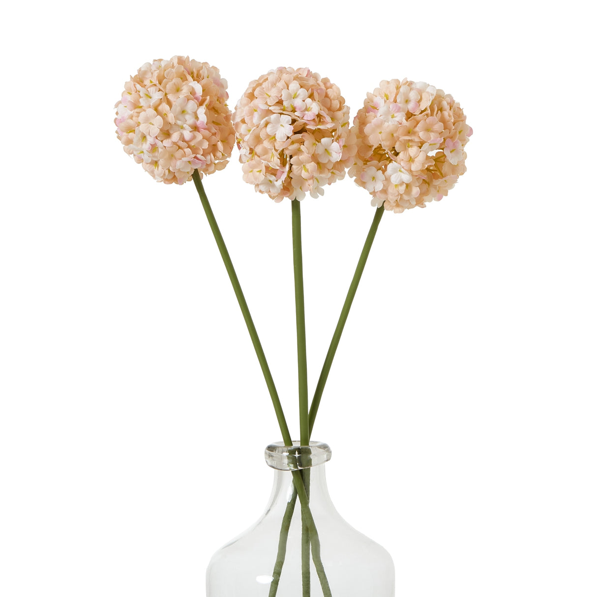 The Natural Garden Collection White & Apricot Allium Shades 4 Seasons