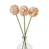 The Natural Garden Collection White & Apricot Allium Shades 4 Seasons