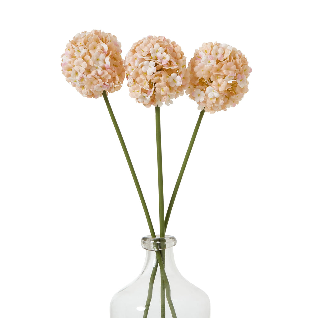 The Natural Garden Collection White & Apricot Allium Shades 4 Seasons