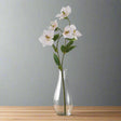 The Natural Garden Collection Pale Apricot Hellibore PLASTIC Shades 4 Seasons