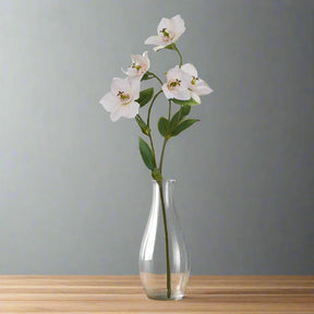 The Natural Garden Collection Pale Apricot Hellibore PLASTIC Shades 4 Seasons