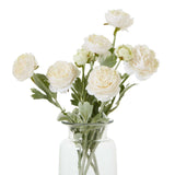The Natural Garden Collection Apricot Ranunculus Shades 4 Seasons