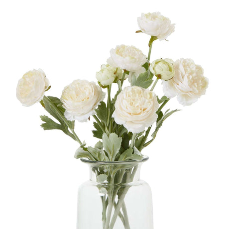 The Natural Garden Collection Apricot Ranunculus Shades 4 Seasons
