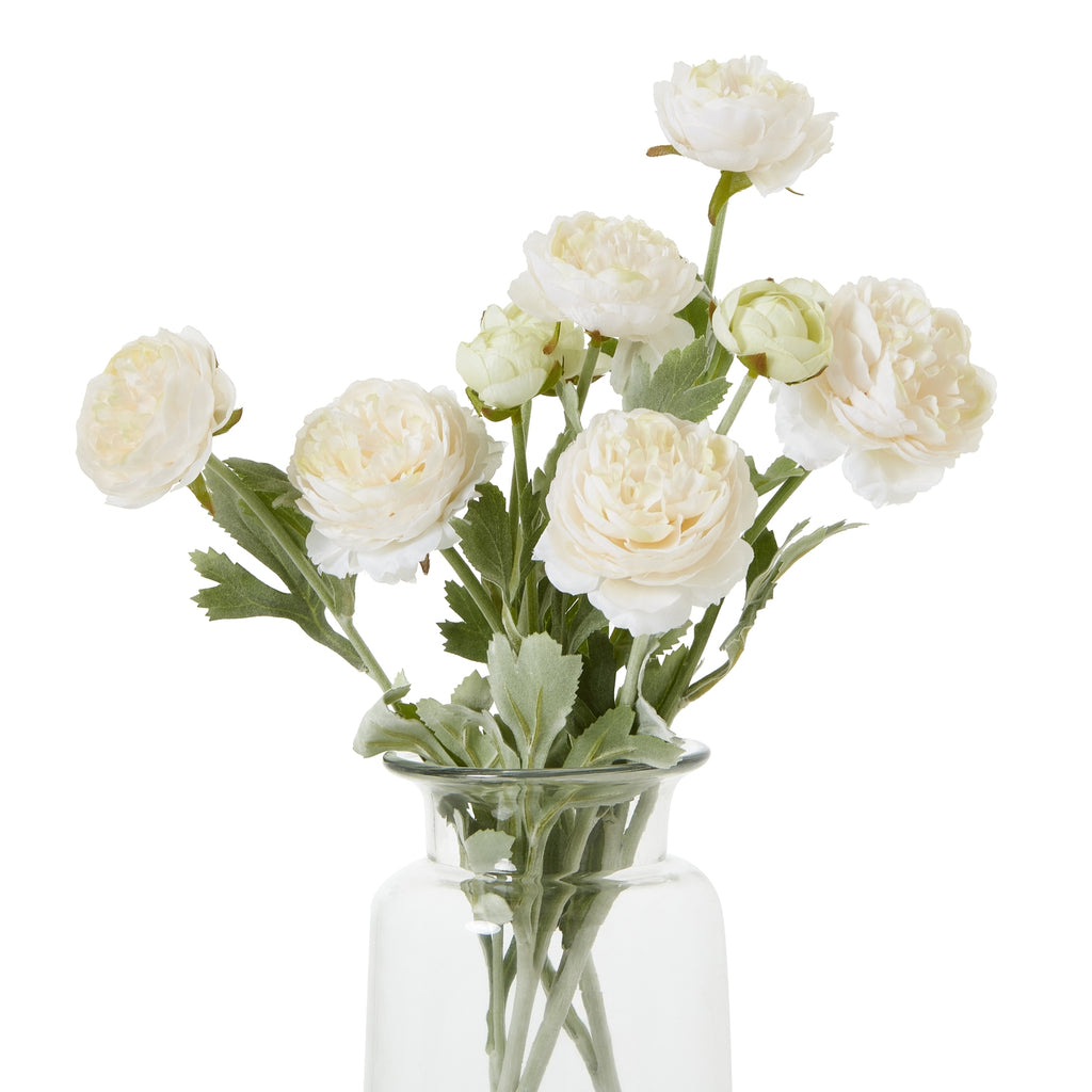 The Natural Garden Collection Apricot Ranunculus Shades 4 Seasons