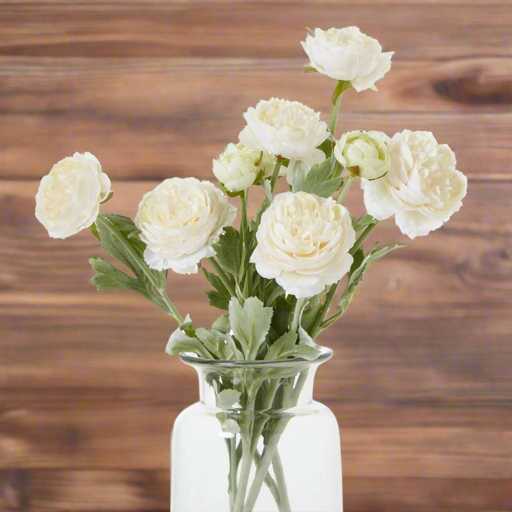 The Natural Garden Collection Apricot Ranunculus PINK PLASTIC Shades 4 Seasons