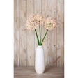 Shades 4 Seasons Allium Stem - Elegant Home Decor Shades 4 Seasons