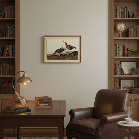 Elegant Artwork On Linen featuring vintage birds displayed in a stylish home library setting