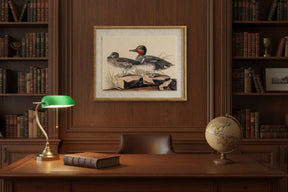 Framed Artwork On Linen featuring ducks in a wooden library setting with globe and desk lamp
