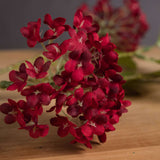 Shades 4 Seasons Autumnal Viburnum Single Stem Flower Shades 4 Seasons