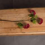 Shades 4 Seasons Autumnal Viburnum Single Stem Flower Shades 4 Seasons