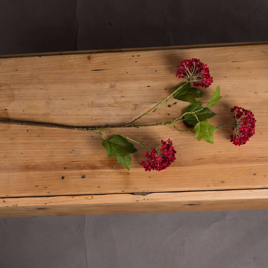 Shades 4 Seasons Autumnal Viburnum Single Stem Flower Shades 4 Seasons