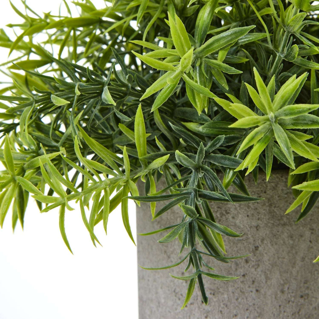 Shades 4 Seasons Bamboo Plant in Stylish Potted Arrangement Shades 4 Seasons