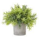 Shades 4 Seasons Bamboo Plant in Stylish Potted Arrangement GREEN PLASTIC Shades 4 Seasons