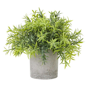 Shades 4 Seasons Bamboo Plant in Stylish Potted Arrangement GREEN PLASTIC Shades 4 Seasons