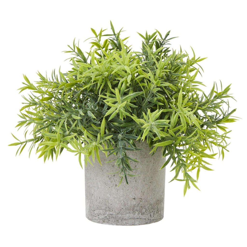 Shades 4 Seasons Bamboo Plant in Stylish Potted Arrangement GREEN PLASTIC Shades 4 Seasons