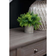 Shades 4 Seasons Bamboo Plant in Stylish Potted Arrangement Shades 4 Seasons