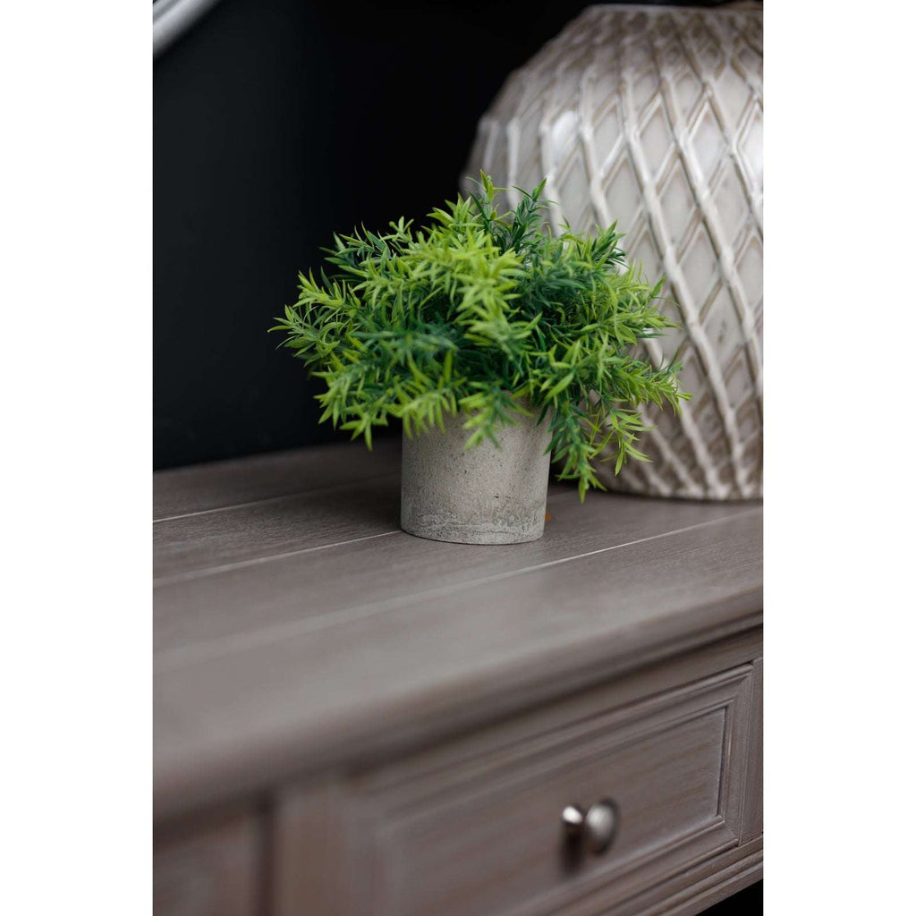 Shades 4 Seasons Bamboo Plant in Stylish Potted Arrangement Shades 4 Seasons