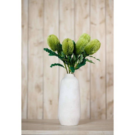 Banksia Serrata Stem by Shades 4 Seasons Shades 4 Seasons