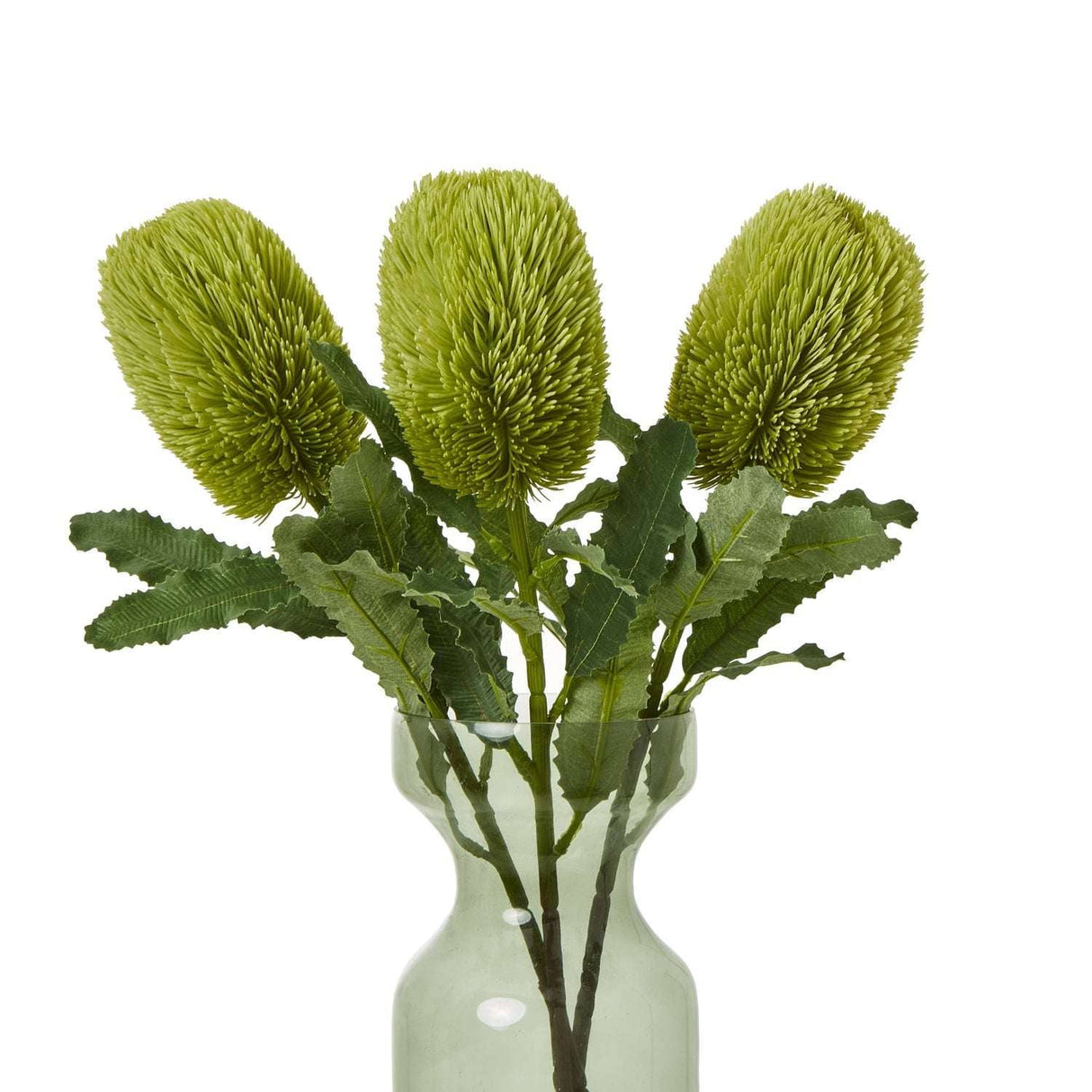 Banksia Serrata Stem by Shades 4 Seasons Shades 4 Seasons