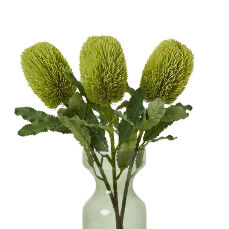 Banksia Serrata Stem by Shades 4 Seasons Shades 4 Seasons