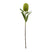 Banksia Serrata Stem by Shades 4 Seasons GREEN PLASTIC Shades 4 Seasons
