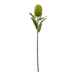 Banksia Serrata Stem by Shades 4 Seasons GREEN PLASTIC Shades 4 Seasons