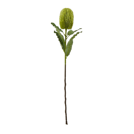 Banksia Serrata Stem by Shades 4 Seasons GREEN PLASTIC Shades 4 Seasons