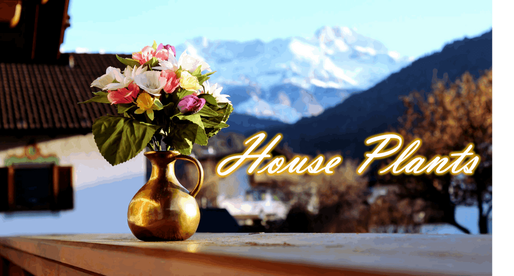 Vibrant Banksia Stem in a decorative vase with a scenic mountain backdrop