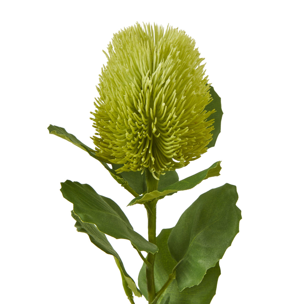 Shades 4 Seasons Banksia Stem with realistic green foliage for home decoration