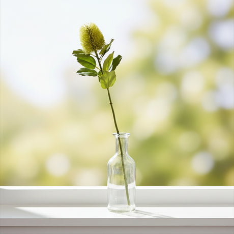 Banksia Stem - Elegant Artificial Flower by Shades 4 Seasons GREEN PLASTIC Shades 4 Seasons