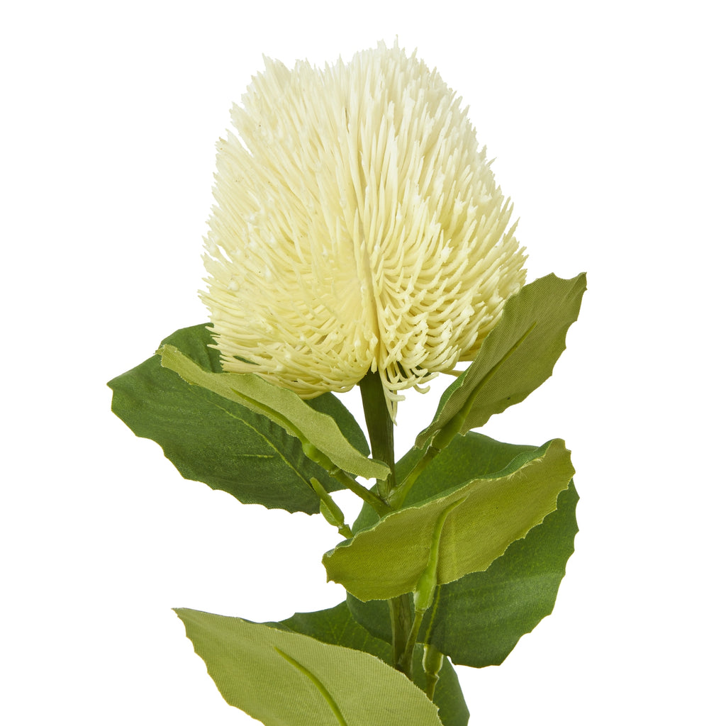 Artificial Banksia Stem with Cream Coloured Flower and Green Leaves for Home Decor