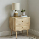 Fishe and Lilly bedside table with two drawers, lamp, and plant for elegant bedroom decor