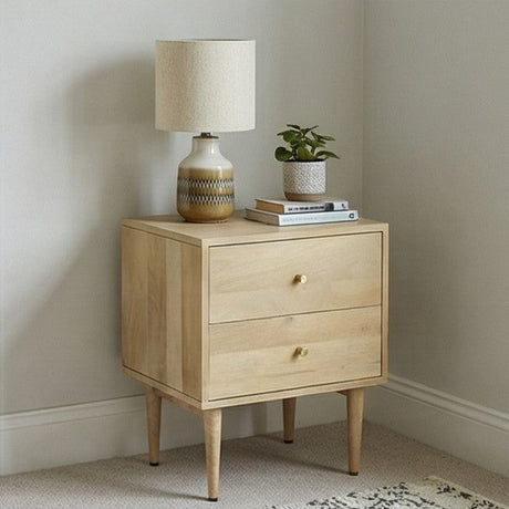 Fishe and Lilly bedside table with two drawers, lamp, and plant for elegant bedroom decor