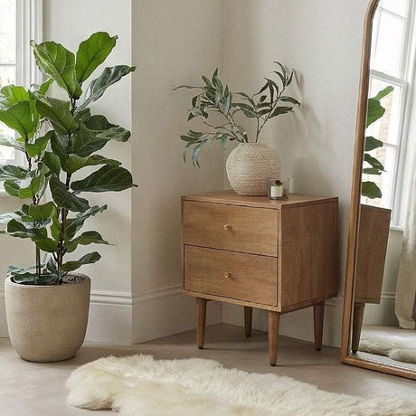 Fishe and Lilly Bedside Table in natural wood finish with two drawers and a pot plant beside it