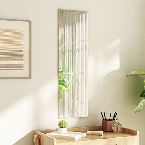 vidaXL Black Door Mirror 30x60 cm Glass and Aluminium gold vidaXL